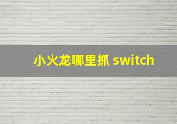 小火龙哪里抓 switch